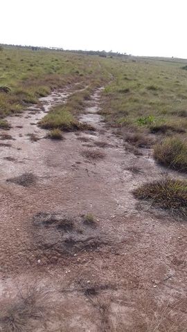 12 Hectareas de Terreno  a 20 Min. de Coatzacoalcos